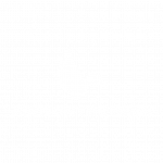 Portfolio-04
