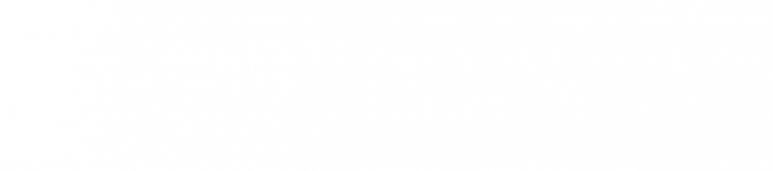 LOGO deutschland WHITE